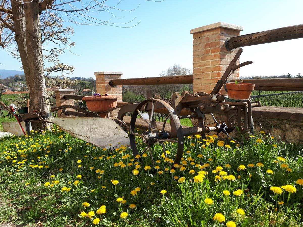 Bed and Breakfast Terre Boscaratto Susegana Esterno foto